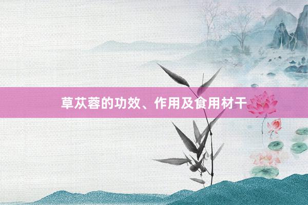 草苁蓉的功效、作用及食用材干